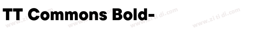 TT Commons Bold字体转换